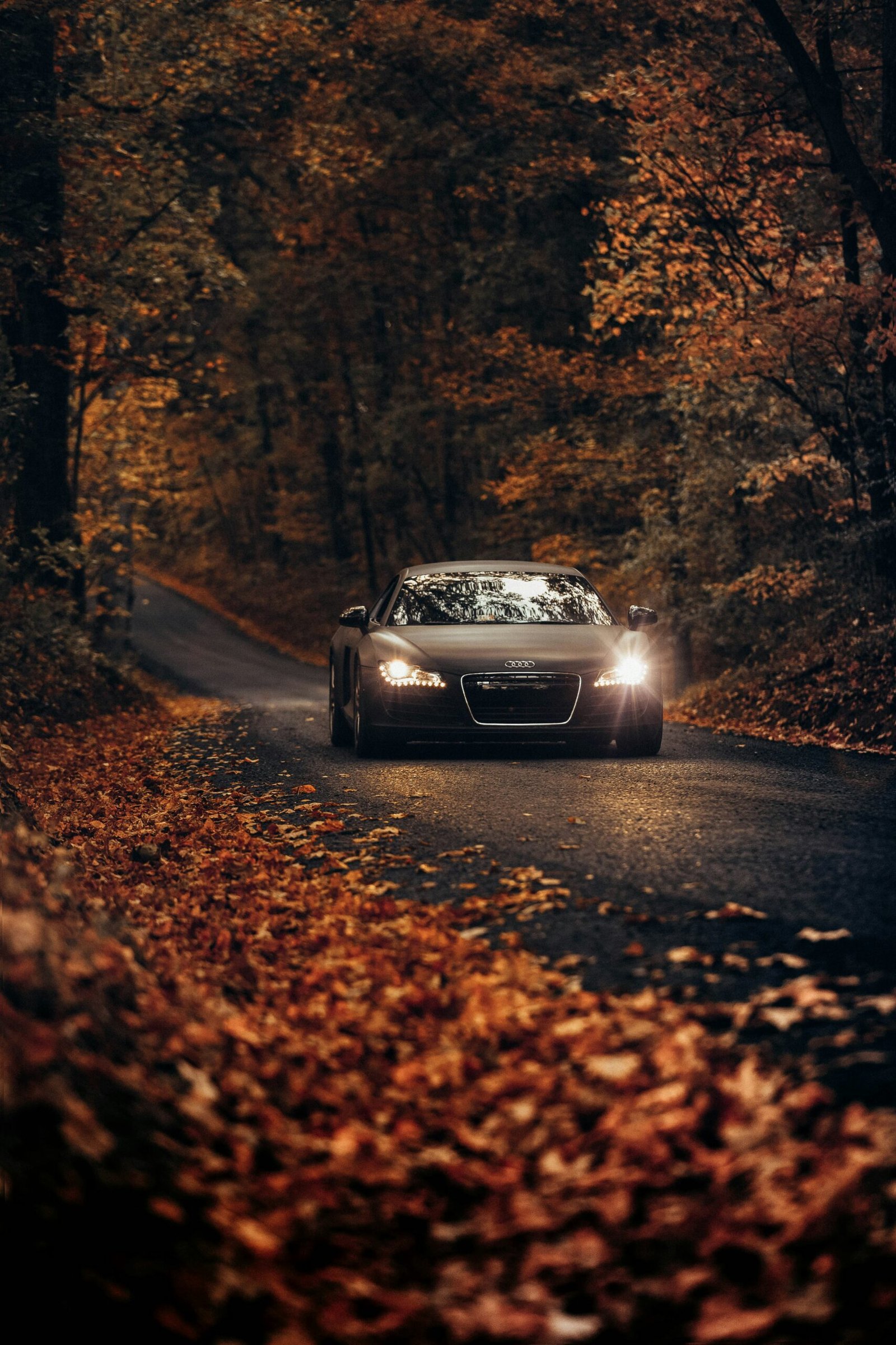 black vehicle on road between trees during daytime